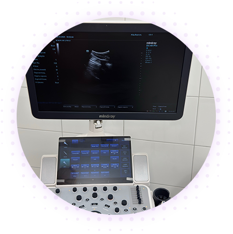 УЗИ почек и надпочечников